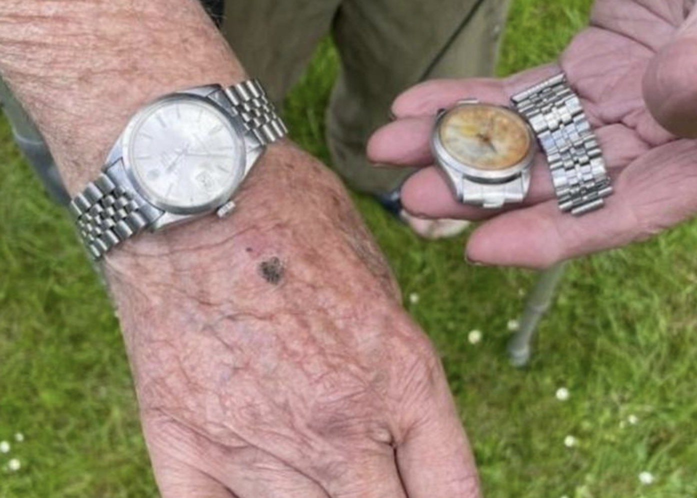 James Steele Rolex Koe Ingeslikt 2