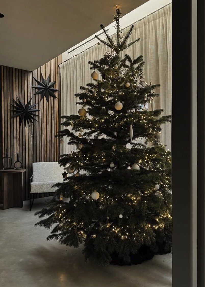 Grote Kerstboom Interieur Modern