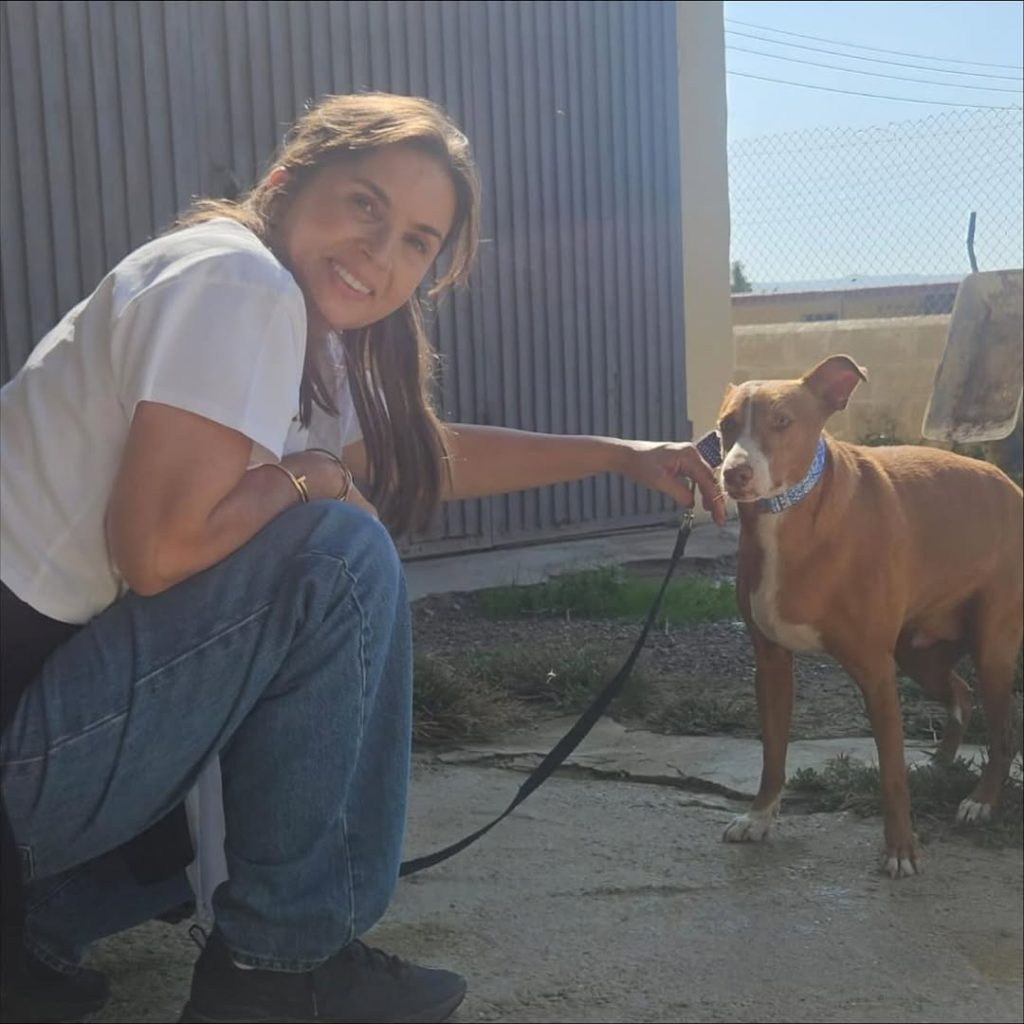 Rosanna-kluivert-hond