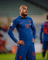 dit wil je weten over Donyell Malen