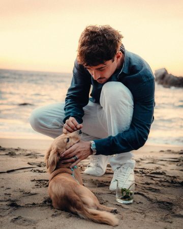 Charles-leclerc-hond